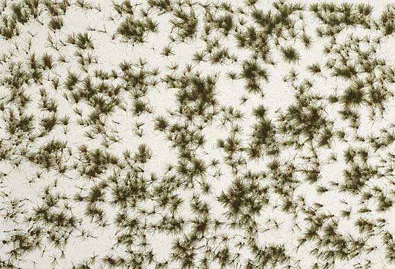 Tappeto Neve con ciuffi d'erba