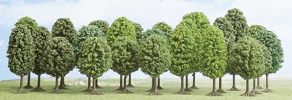 25 alberi a foglia  70-125 mm