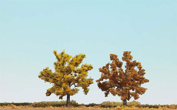 Alberi da frutto in autunno