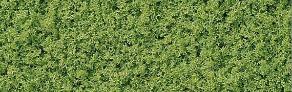 Micro fiocchi verde chiaro
