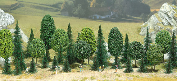 Bosco misto 60 alberi