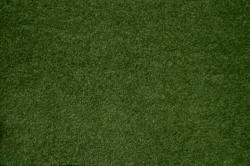 Tappeto erboso verde medio 495x245mm