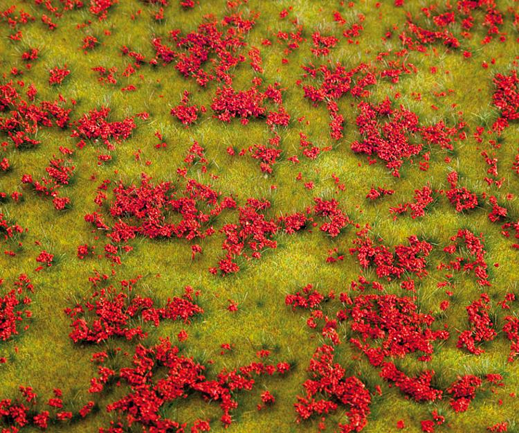 Segmento paesaggio PREMIUM , Prato fiorito, rosso