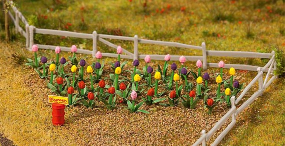 36 tulipani colorati