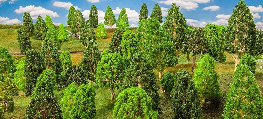 50 alberi decidui assortiti