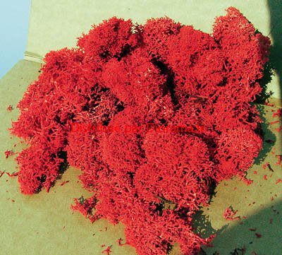 Lichene rosso 30 g