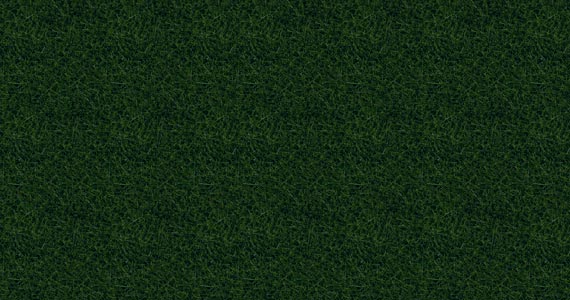 Erba selvatica verde scuro XL 12mm