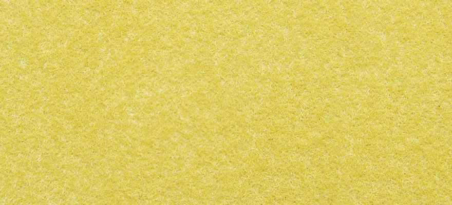 Erba giallo oro 2.5 mm