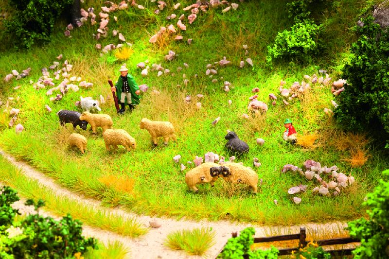 Pecore al Pascolo