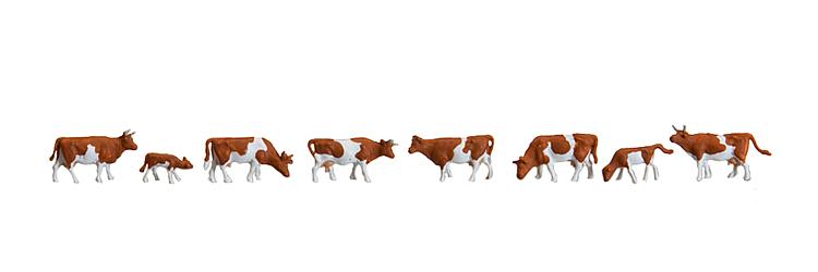 Mucche, maculatura marrone
