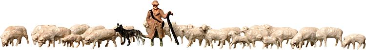 Pastore + pecore