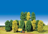 Offerta CSNetwork.it