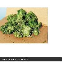 Vedi Scheda Heki 3217 - Lichene misto verde e grigio 30 g Heki - Scala  H0 